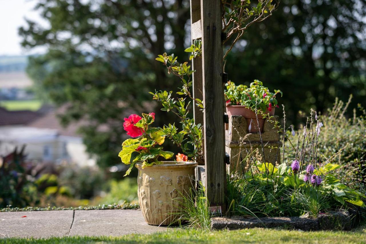Craigmount Bed and Breakfast Wigtown Exteriör bild